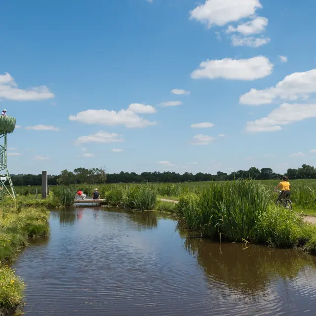 2024 Nid Observatoire Vert Puk 30
