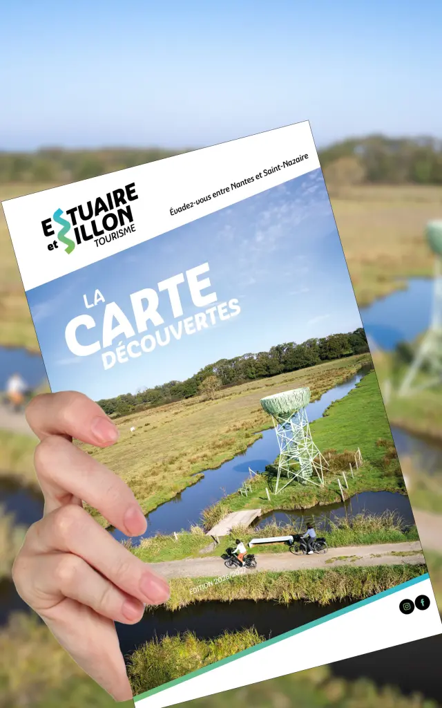 Design Sans Titre