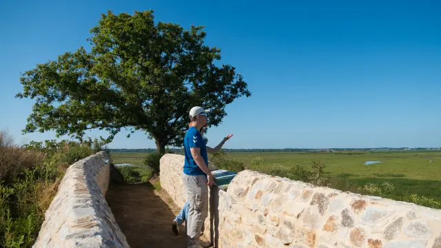 2024 Le Trou Bleu Lavau Sur Loire Puk 14